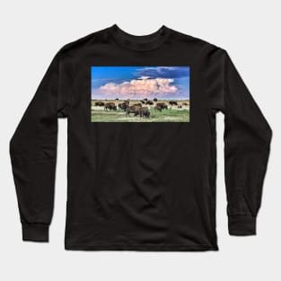 Colorado Bison Herd Long Sleeve T-Shirt